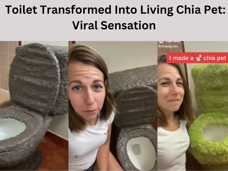 Read more about the article Toilet Transformed Into Living Chia Pet: Viral Sensation