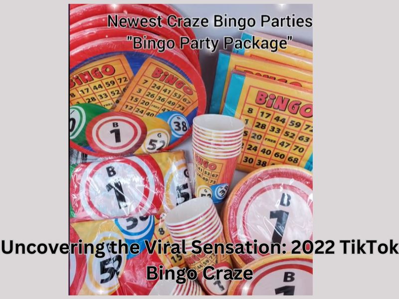Read more about the article Uncovering the Viral Sensation: 2022 TikTok Bingo Craze